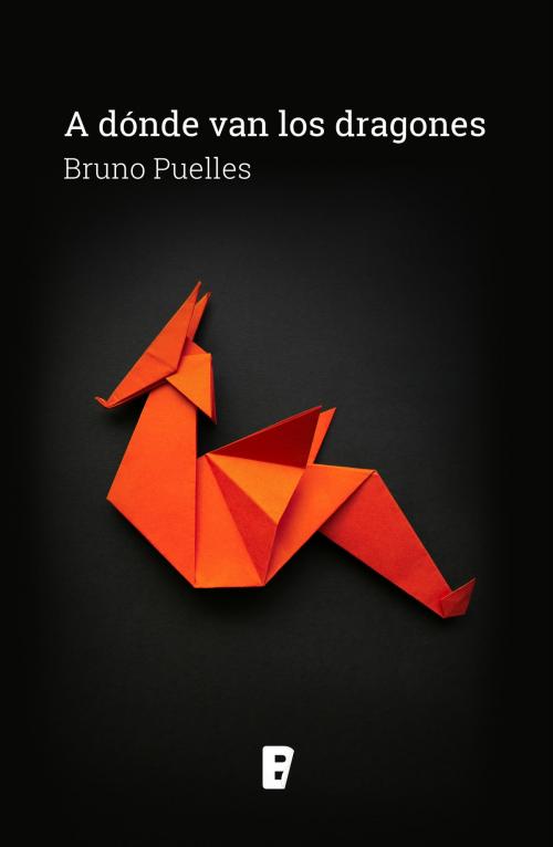 Cover of the book A dónde van los dragones by Bruno Puelles, Penguin Random House Grupo Editorial España