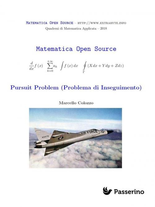 Cover of the book Pursuit Problem (Problema di Inseguimento) by Marcello Colozzo, Passerino