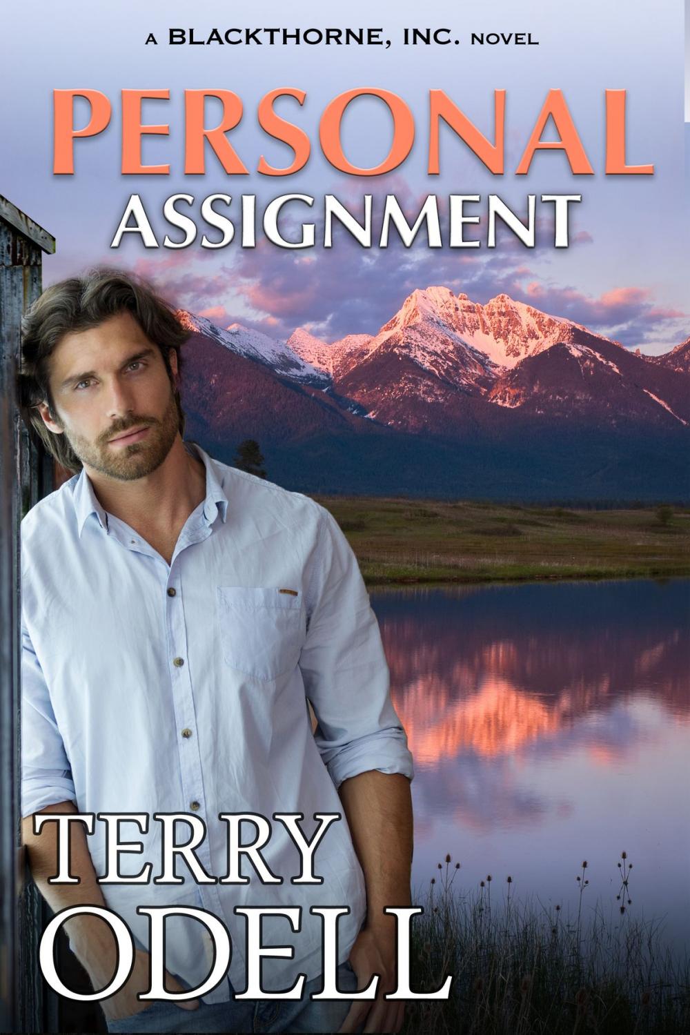 Big bigCover of Personal Assignment