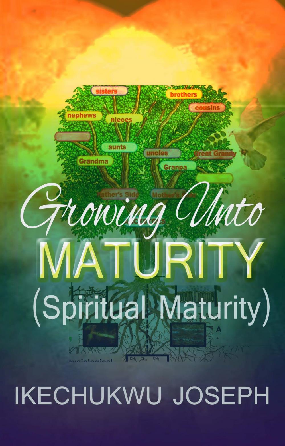 Big bigCover of Growing Unto Maturity