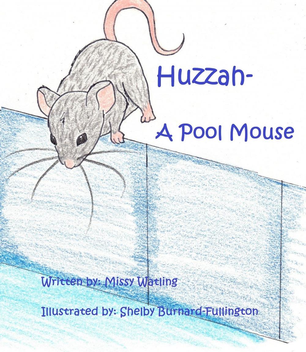 Big bigCover of Huzzah-A Pool Mouse