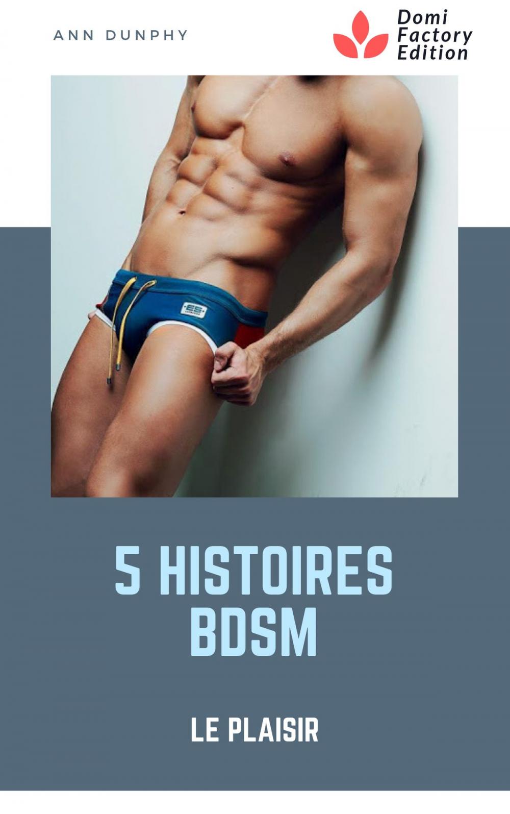 Big bigCover of 5 histoires BDSM : le plaisir