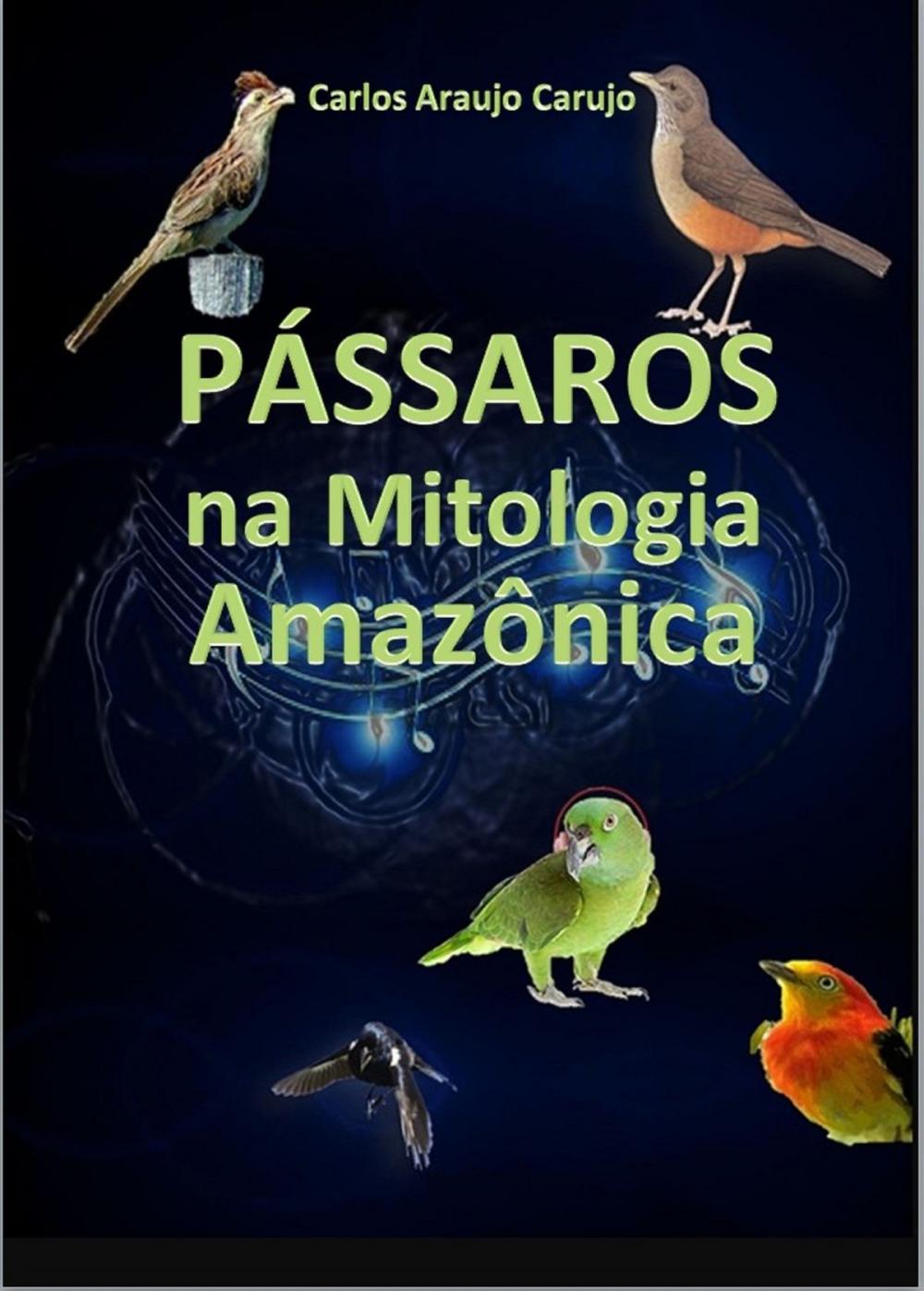 Big bigCover of PÁSSAROS