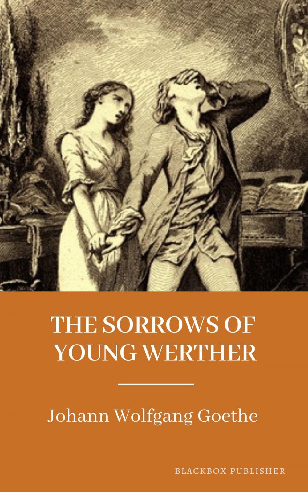 Big bigCover of The Sorrows of Young Werther