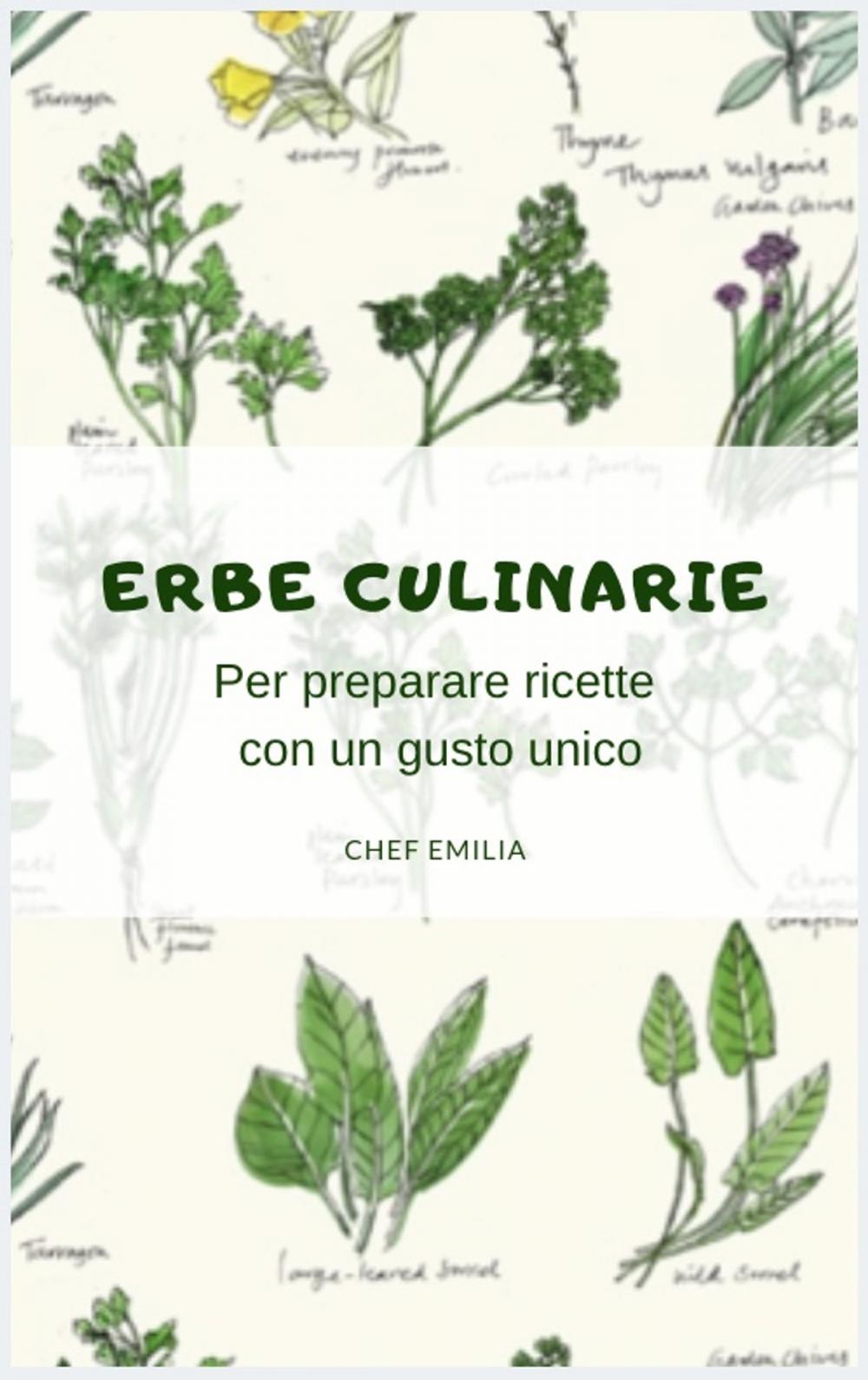 Big bigCover of Erbe Culinarie