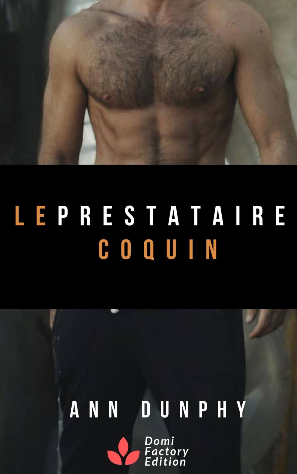 Big bigCover of Le prestataire coquin