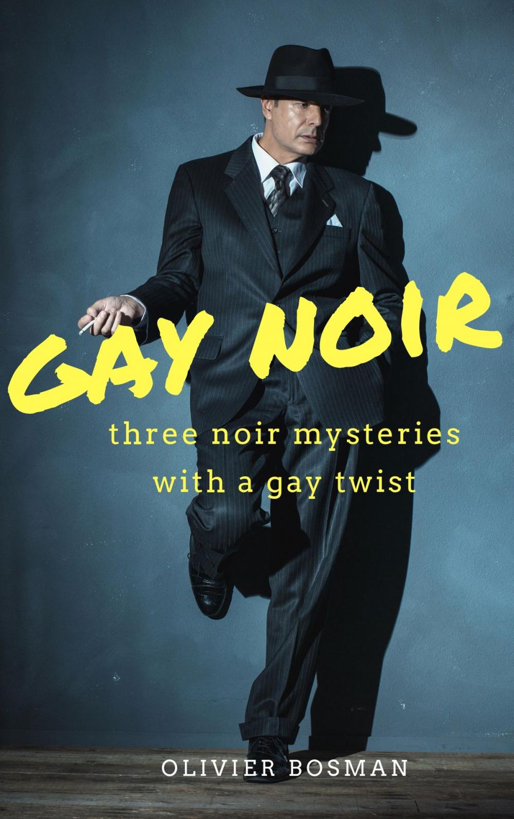 Big bigCover of Gay Noir