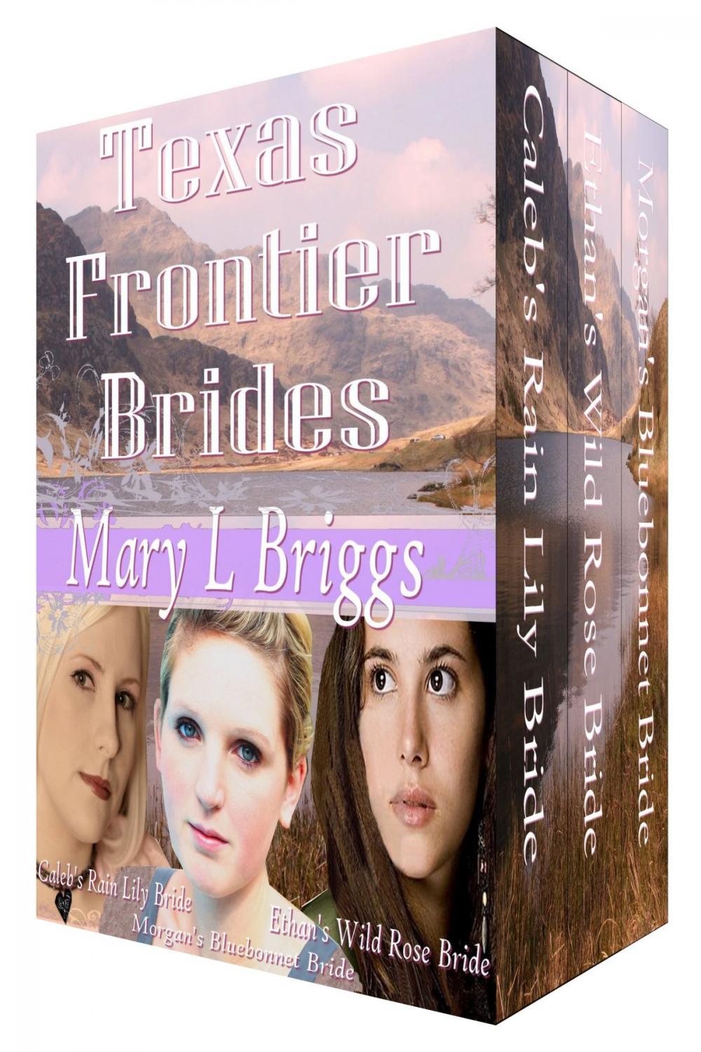 Big bigCover of Texas Frontier Brides