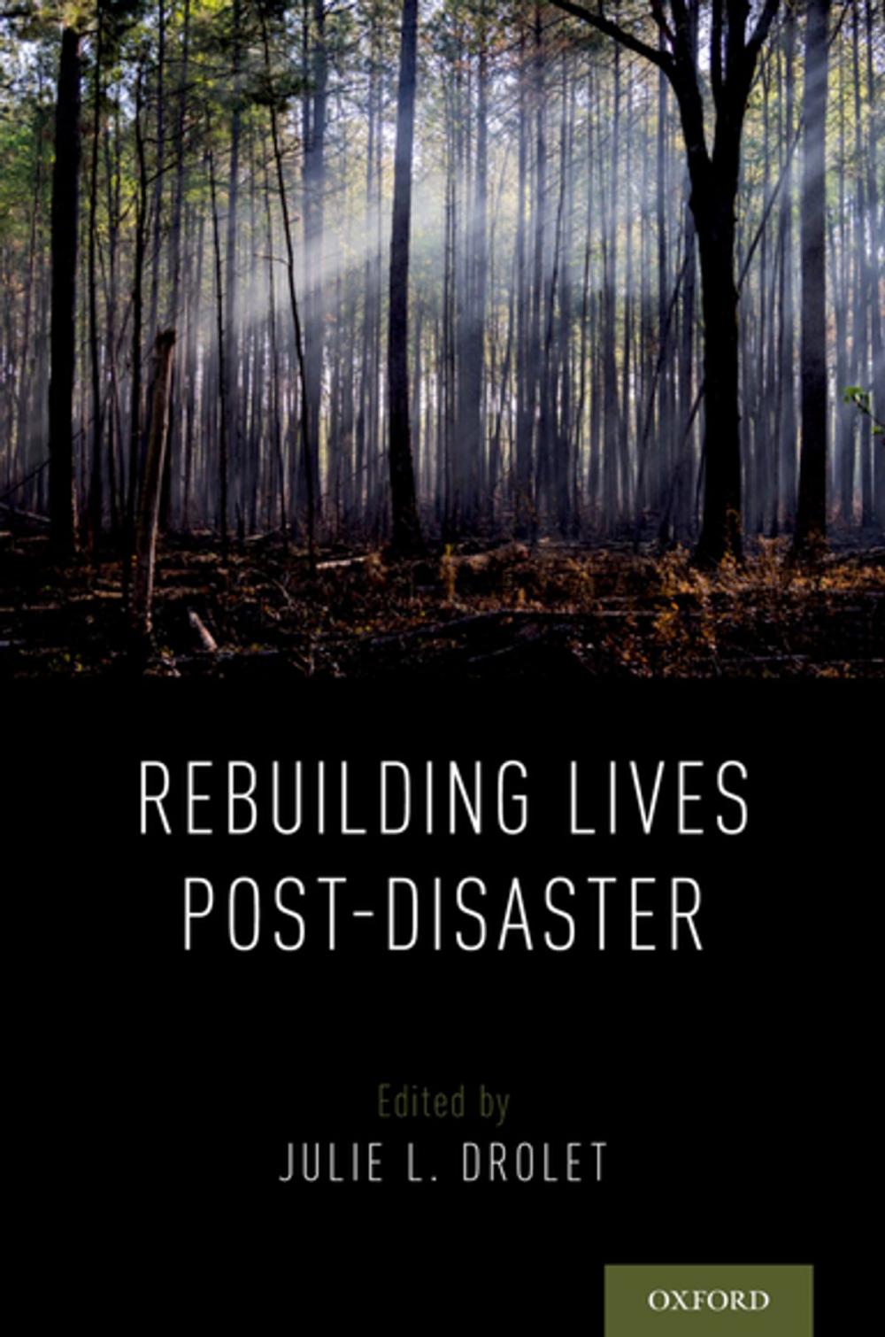 Big bigCover of Rebuilding Lives Post-Disaster