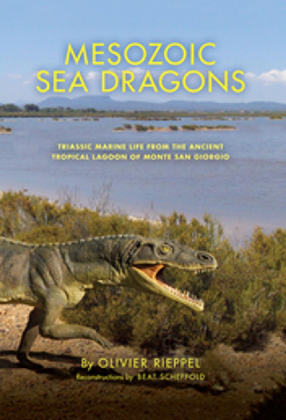 Big bigCover of Mesozoic Sea Dragons