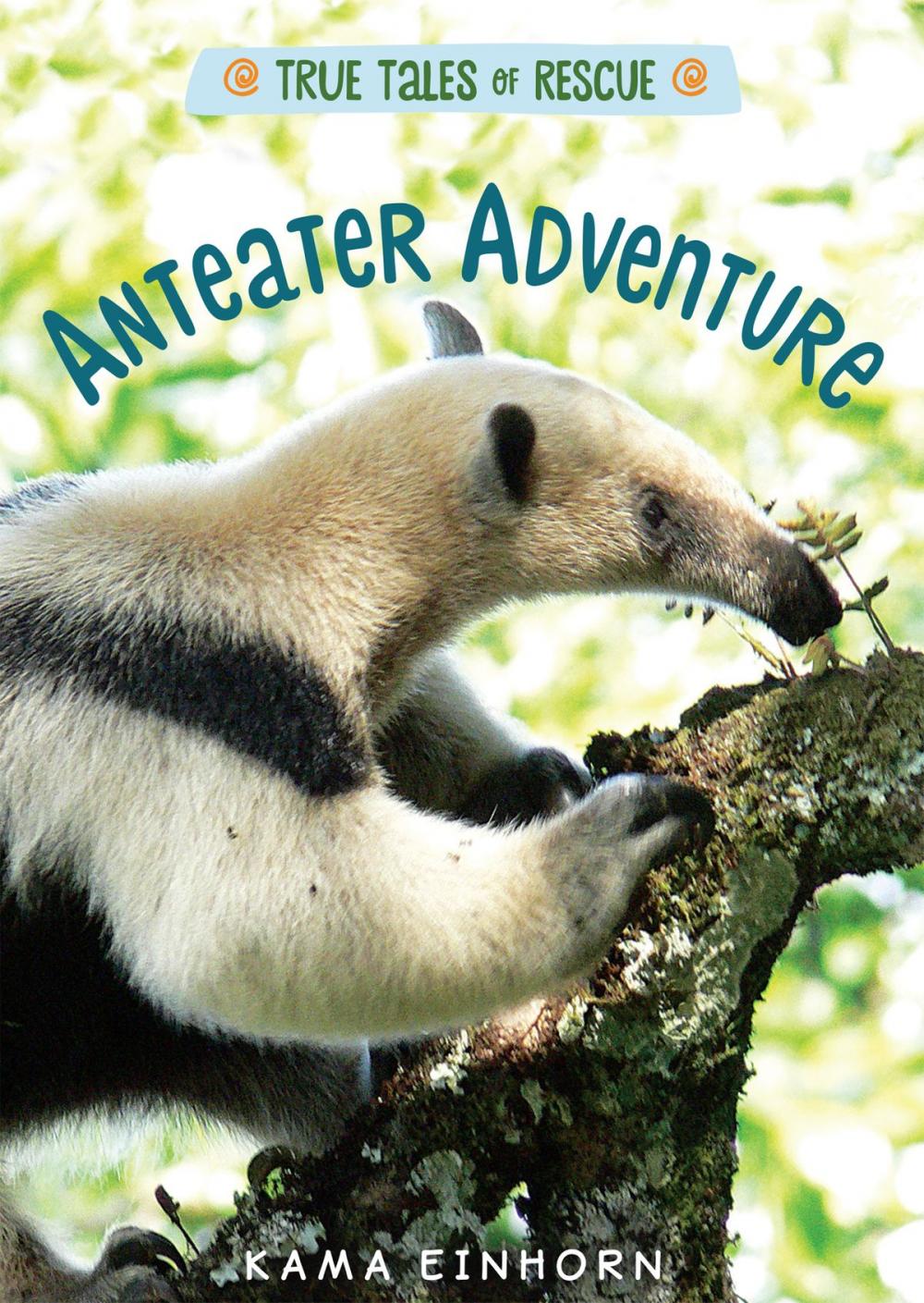 Big bigCover of Anteater Adventure