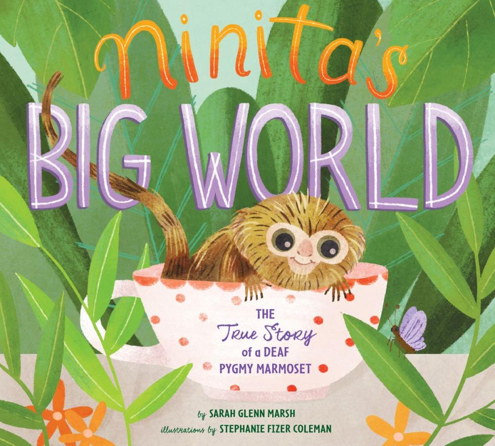 Big bigCover of Ninita's Big World