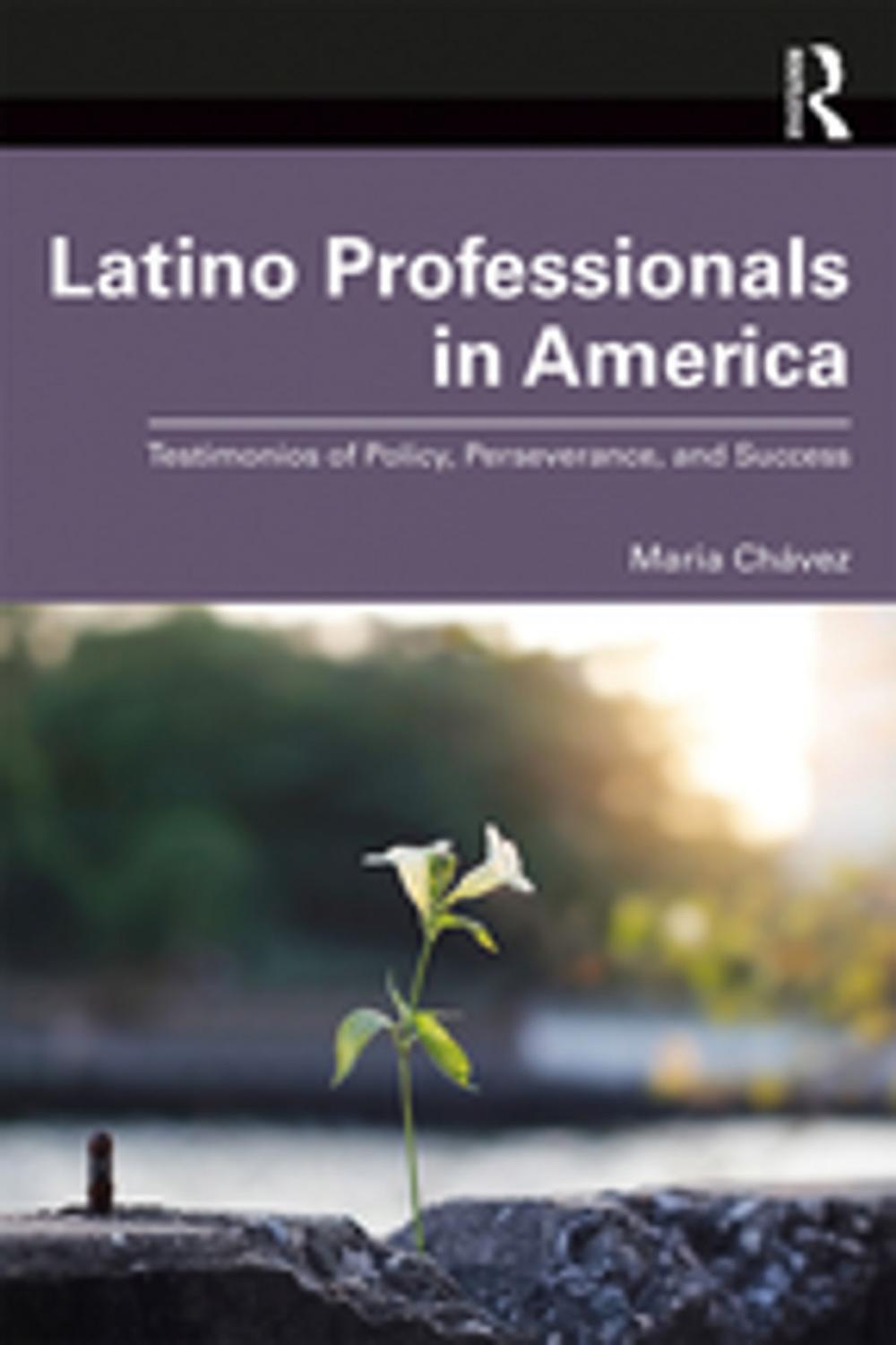 Big bigCover of Latino Professionals in America