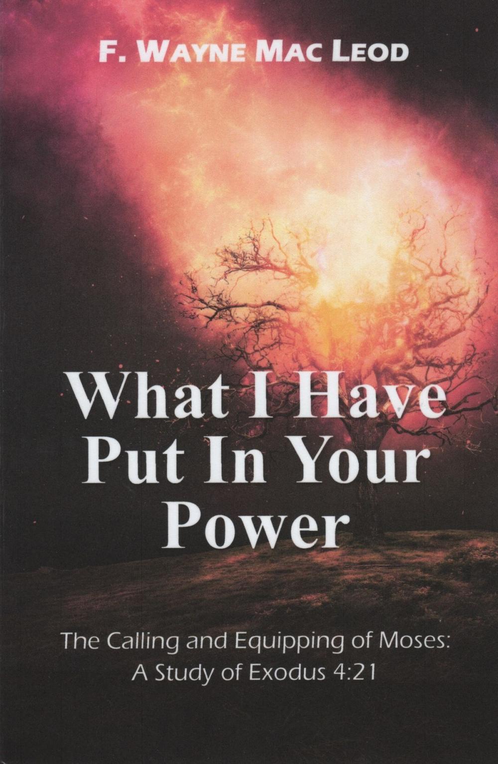 Big bigCover of What I Have Put in Your Power