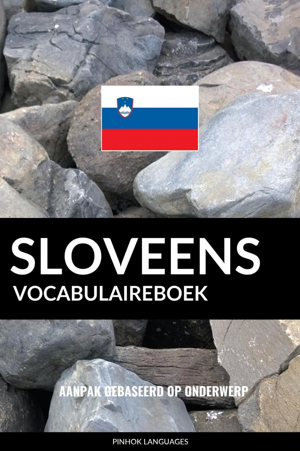 Big bigCover of Sloveens vocabulaireboek: Aanpak Gebaseerd Op Onderwerp