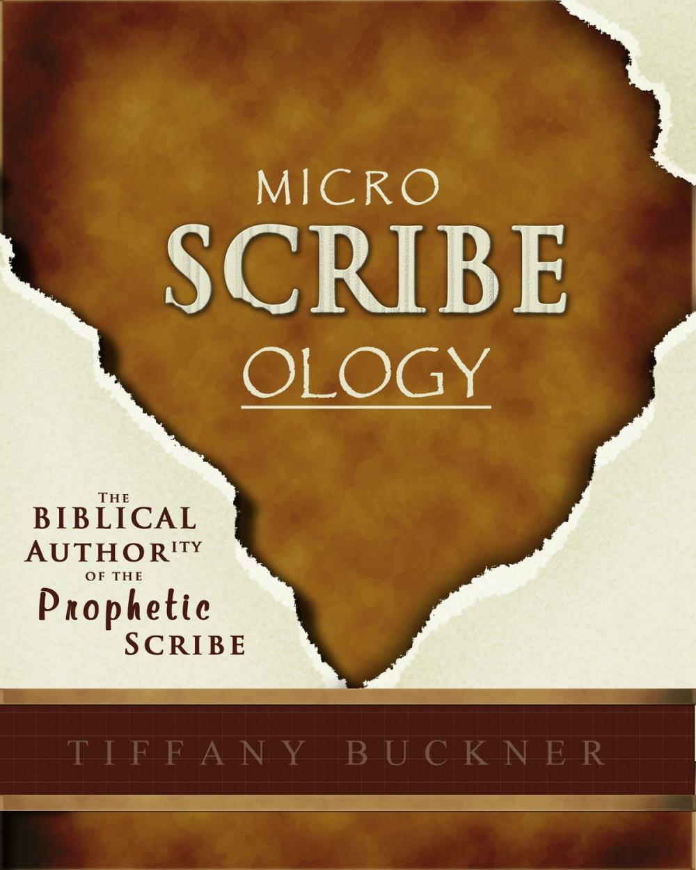 Big bigCover of Microscribeology