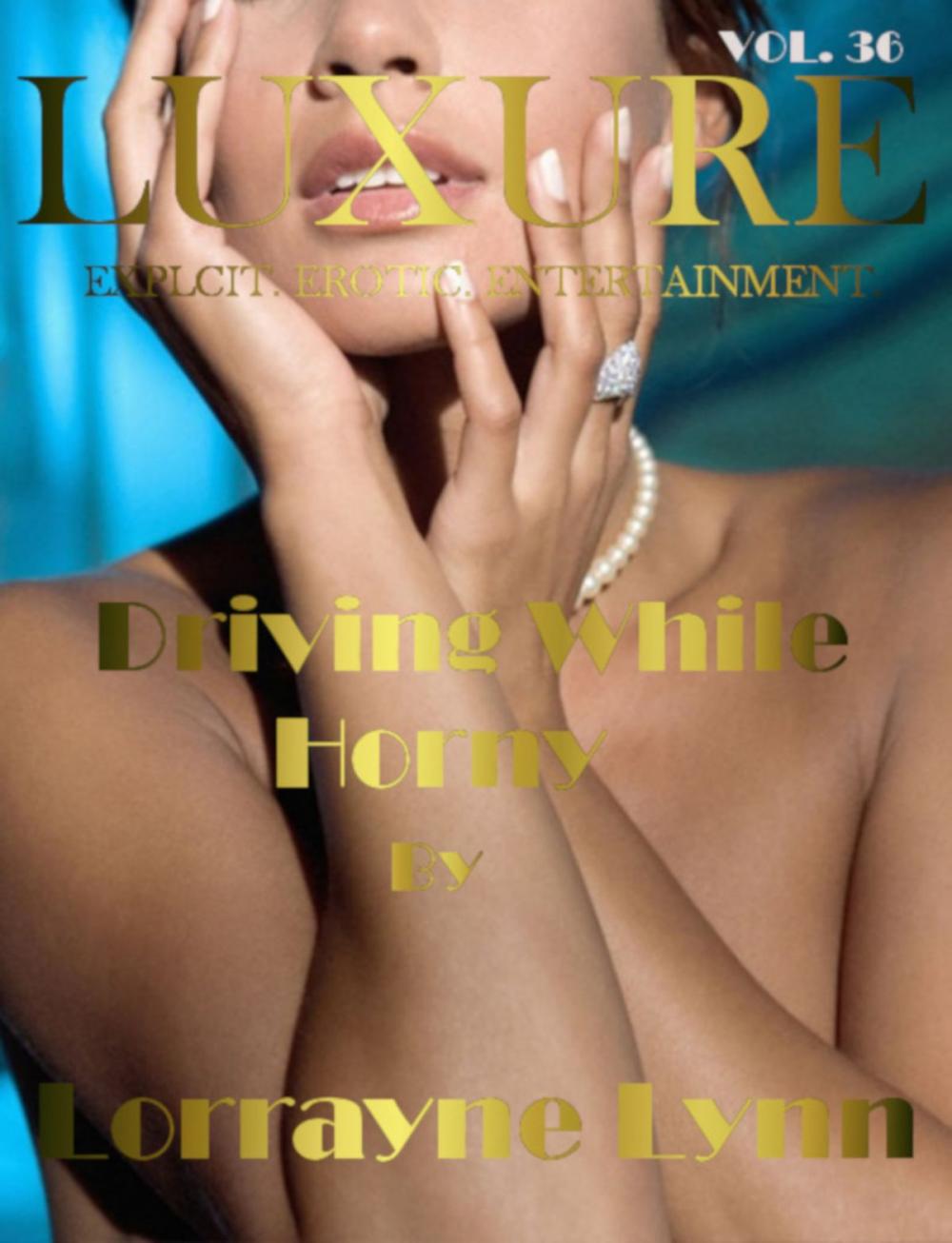 Big bigCover of Driving While Horny