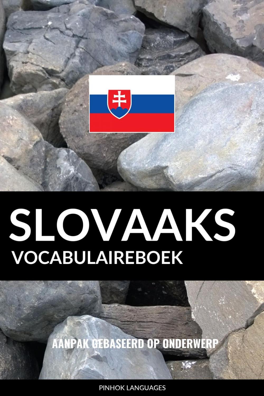 Big bigCover of Slovaaks vocabulaireboek: Aanpak Gebaseerd Op Onderwerp