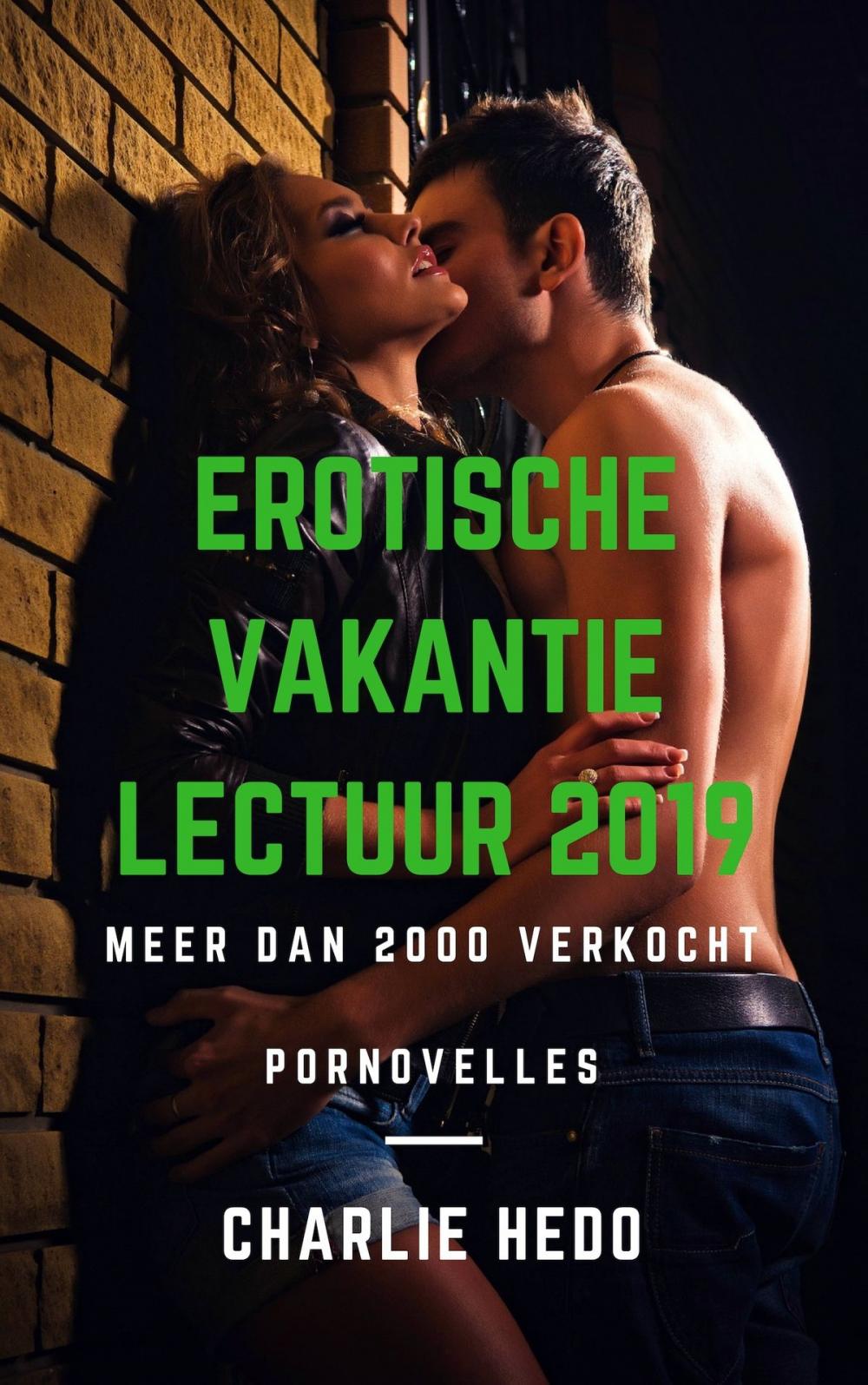 Big bigCover of Erotische Vakantielectuur 2019