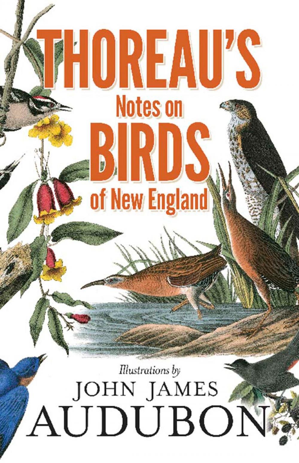 Big bigCover of Thoreau's Notes on Birds of New England