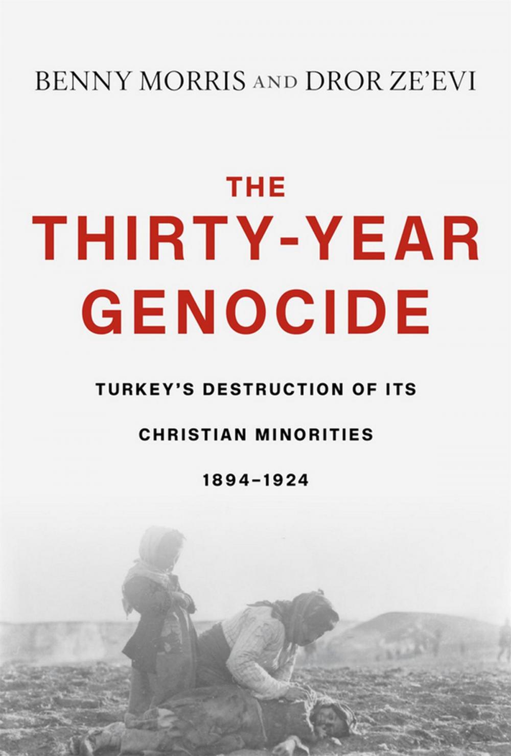 Big bigCover of The Thirty-Year Genocide