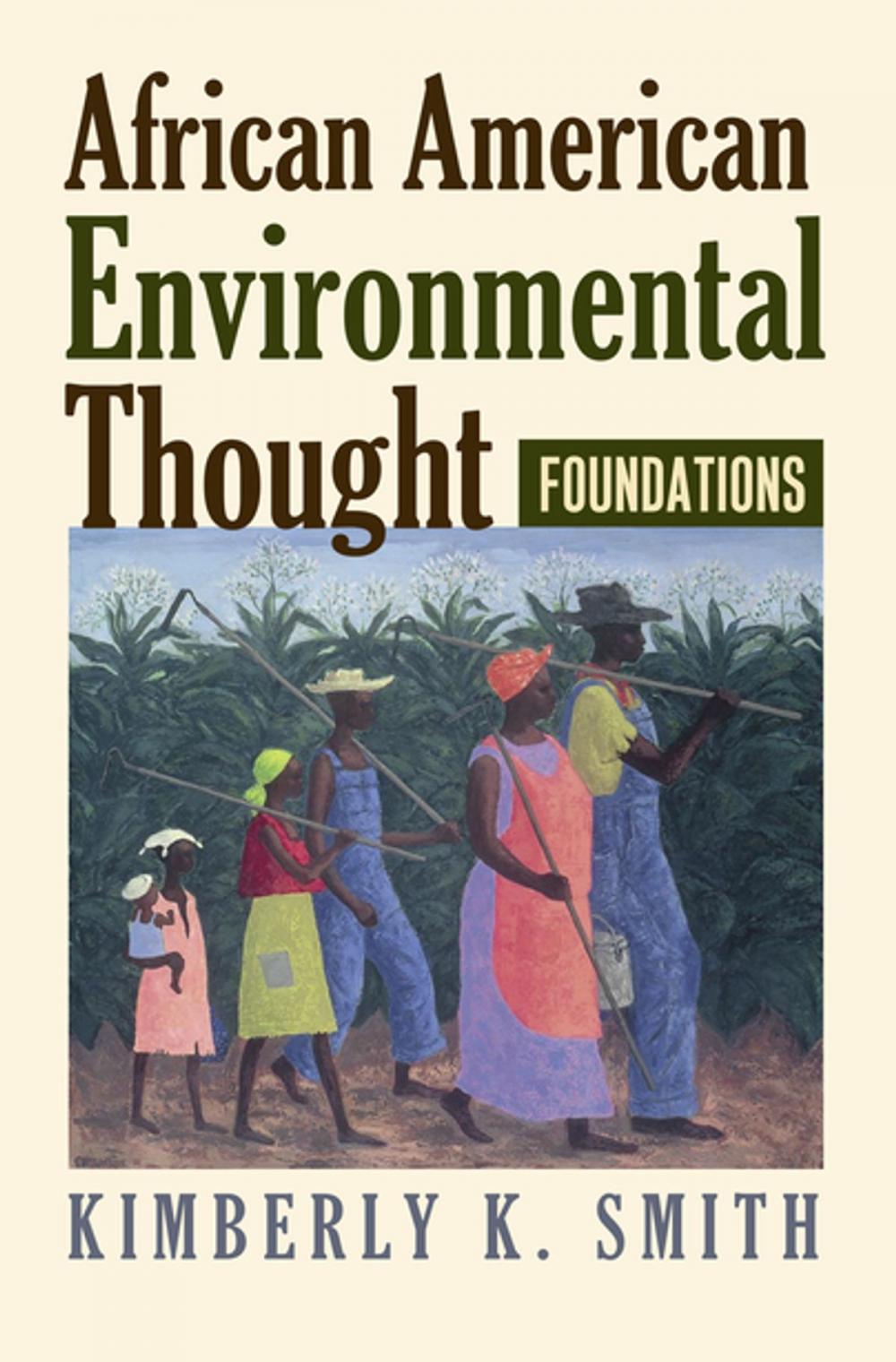 Big bigCover of African American Environmental Thought