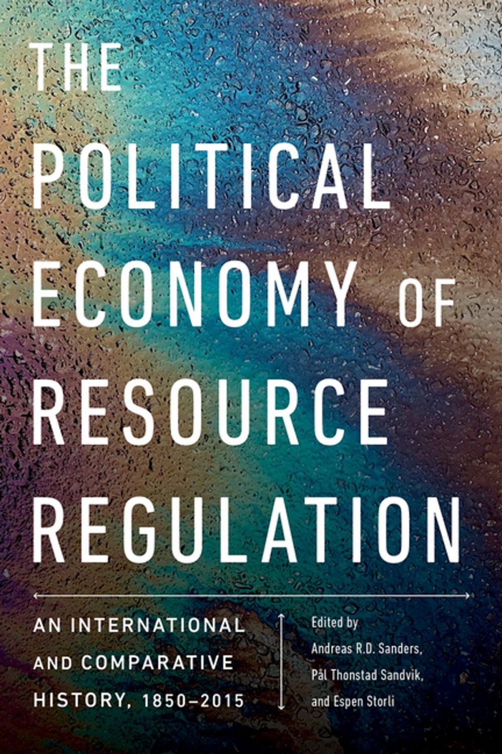 Big bigCover of The Political Economy of Resource Regulation