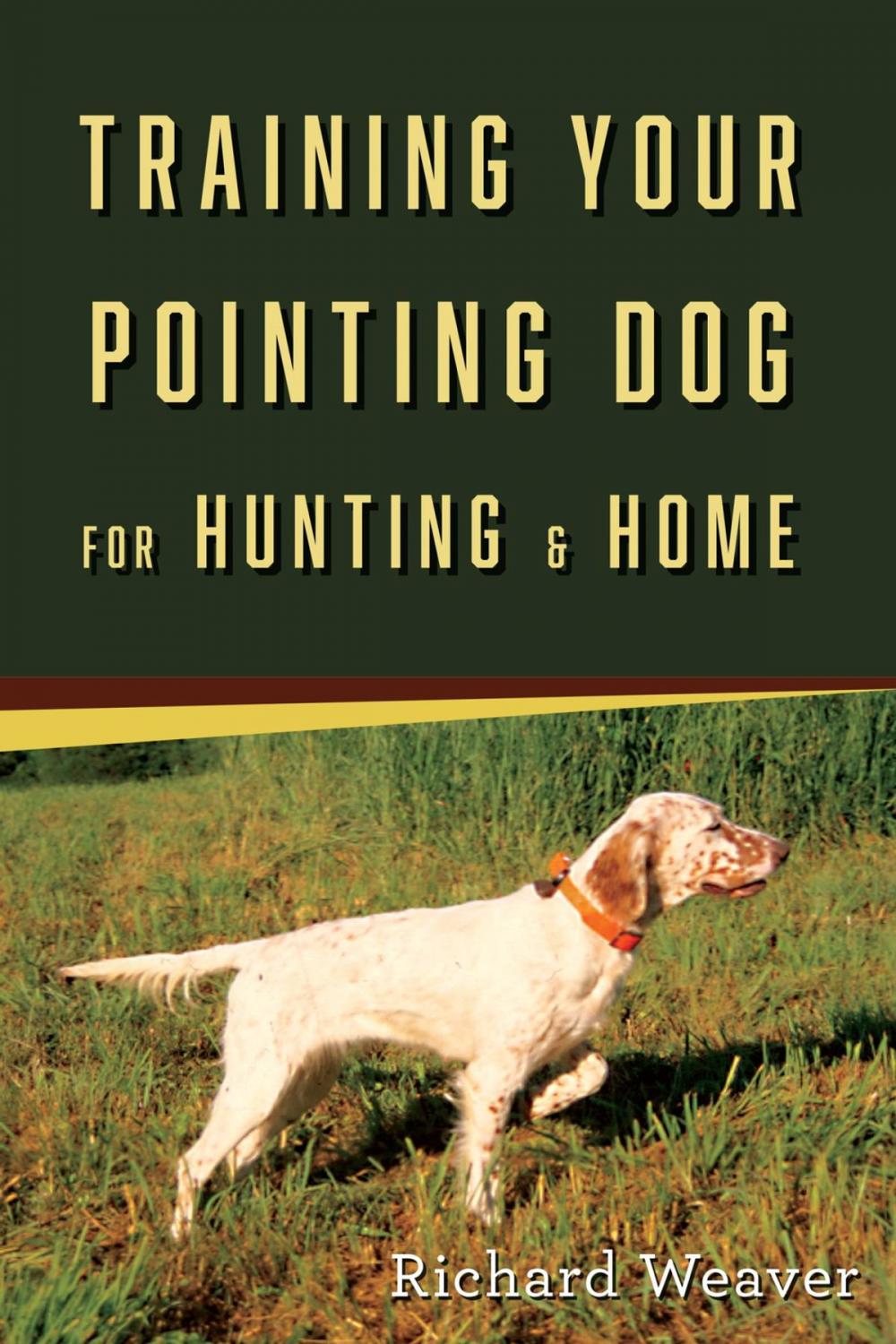 Big bigCover of Training Your Pointing Dog for Hunting & Home