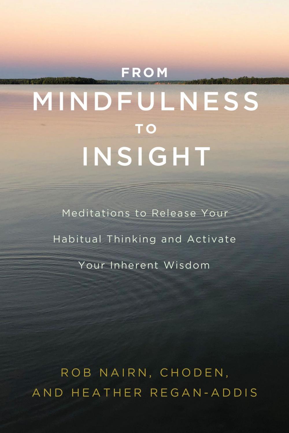 Big bigCover of From Mindfulness to Insight