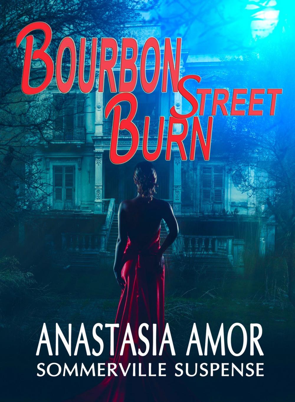 Big bigCover of Bourbon Street Burn: Sommerville Suspense