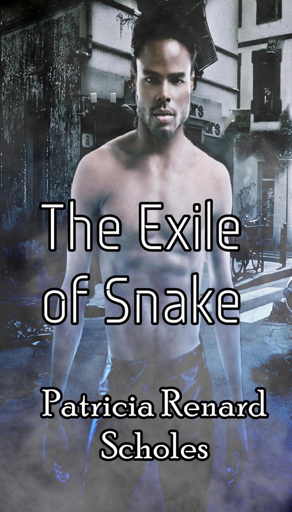 Big bigCover of The Exile of Snake