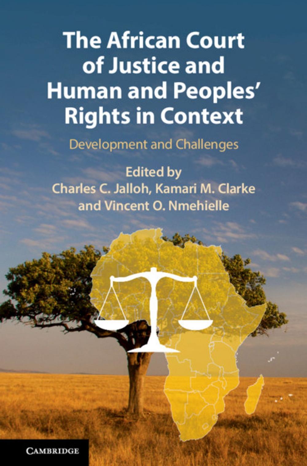 Big bigCover of The African Court of Justice and Human and Peoples' Rights in Context