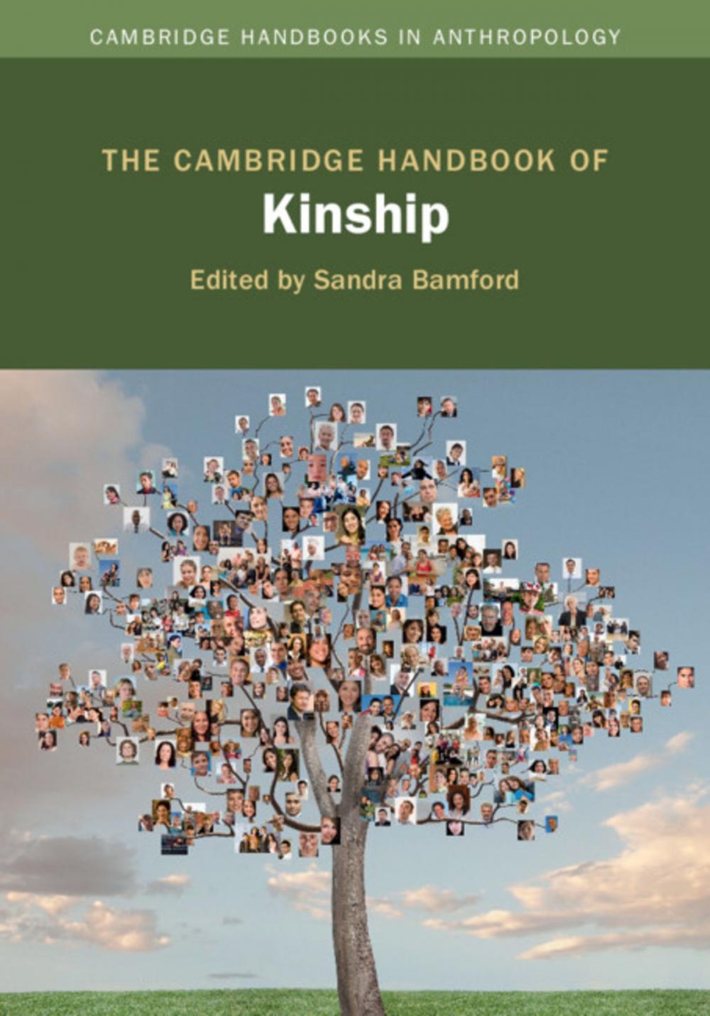 Big bigCover of The Cambridge Handbook of Kinship