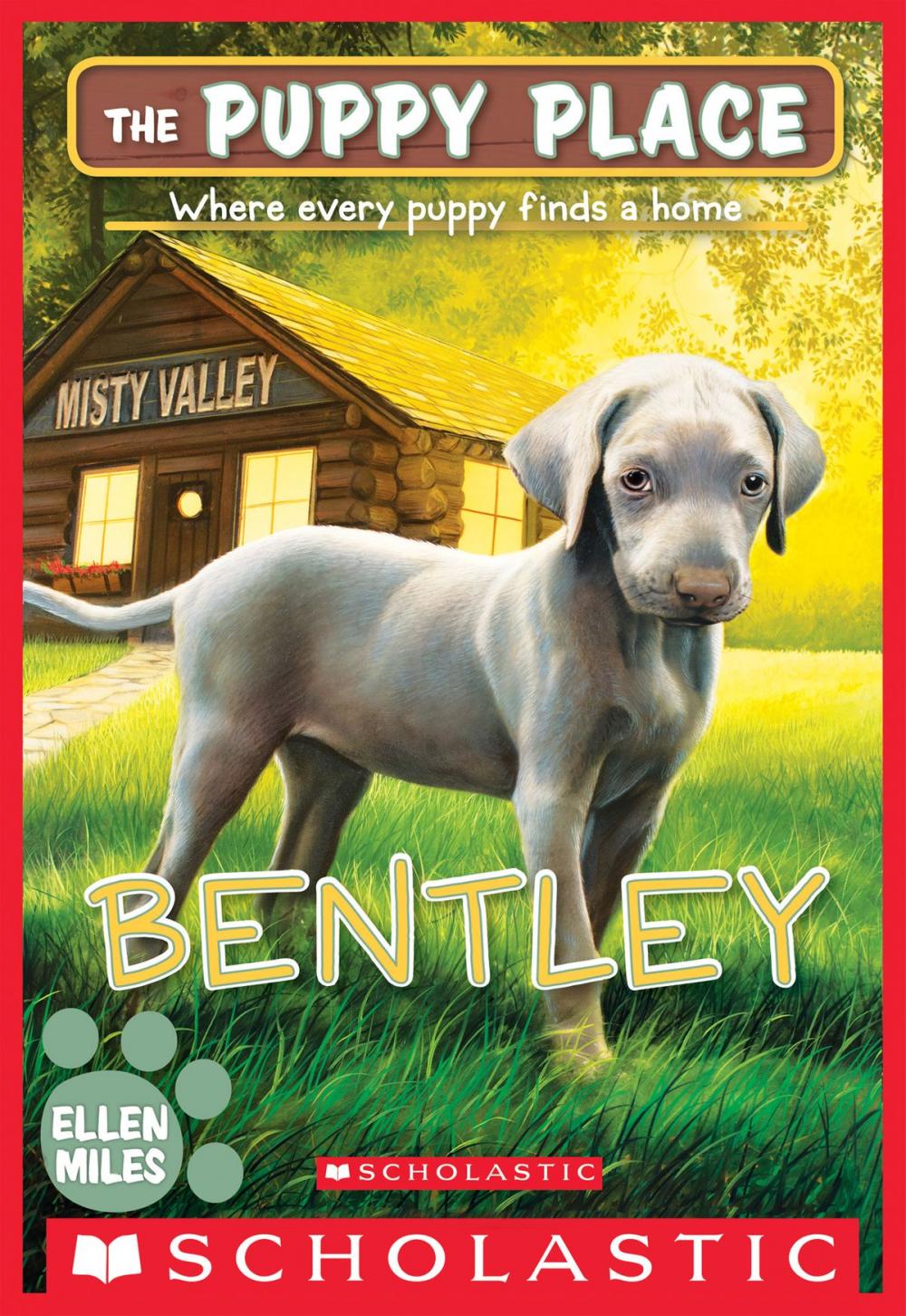 Big bigCover of Bentley (The Puppy Place #53)