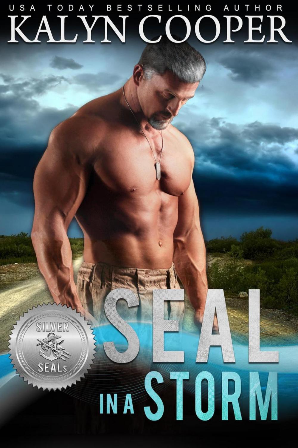 Big bigCover of SEAL in a Storm