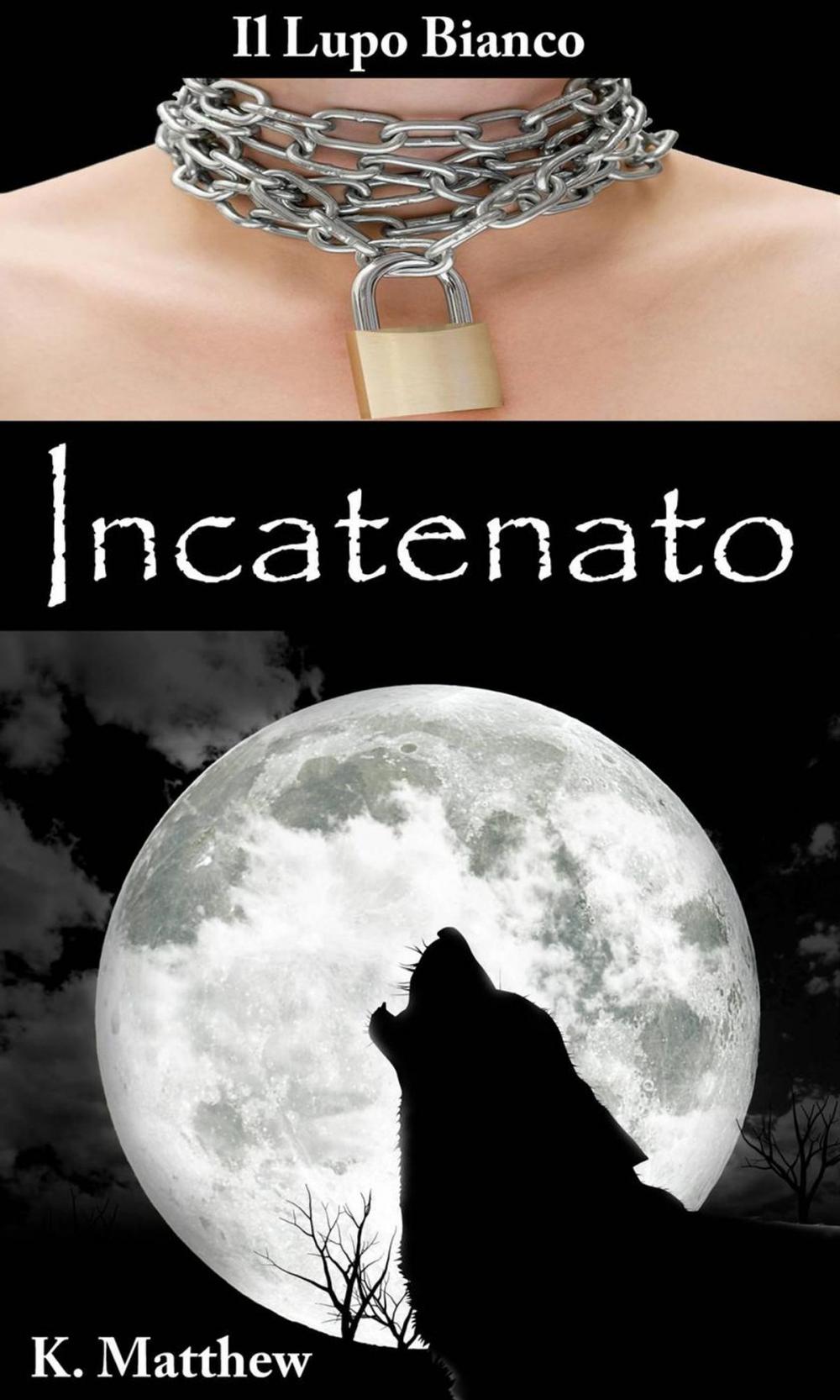 Big bigCover of Incatenato