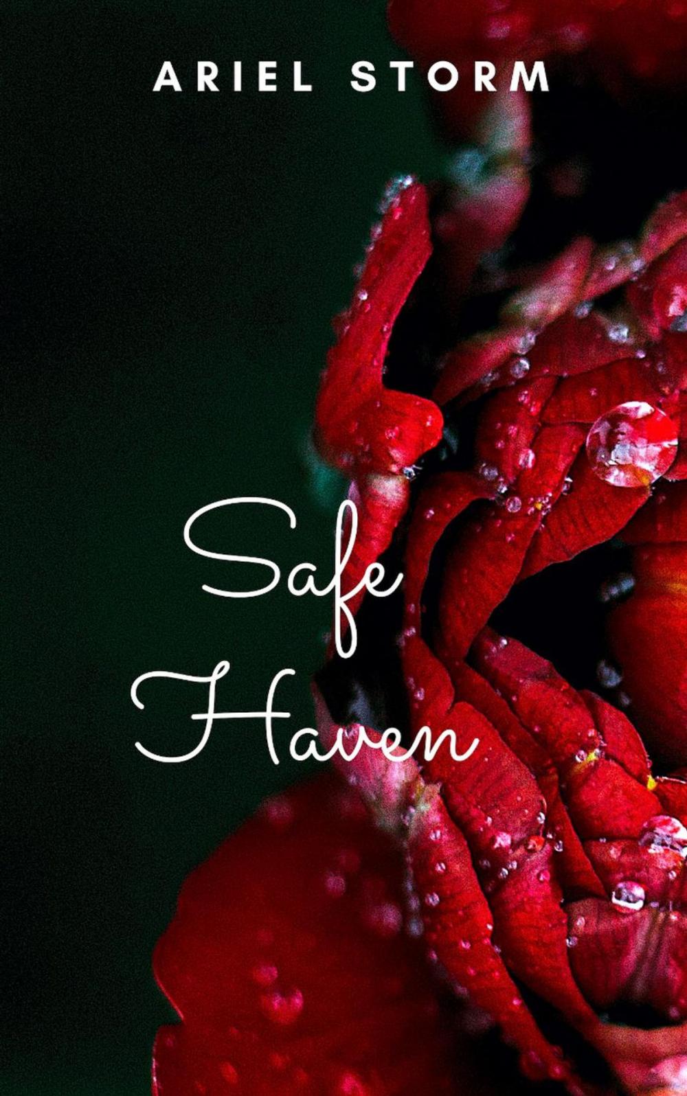 Big bigCover of Safe Haven