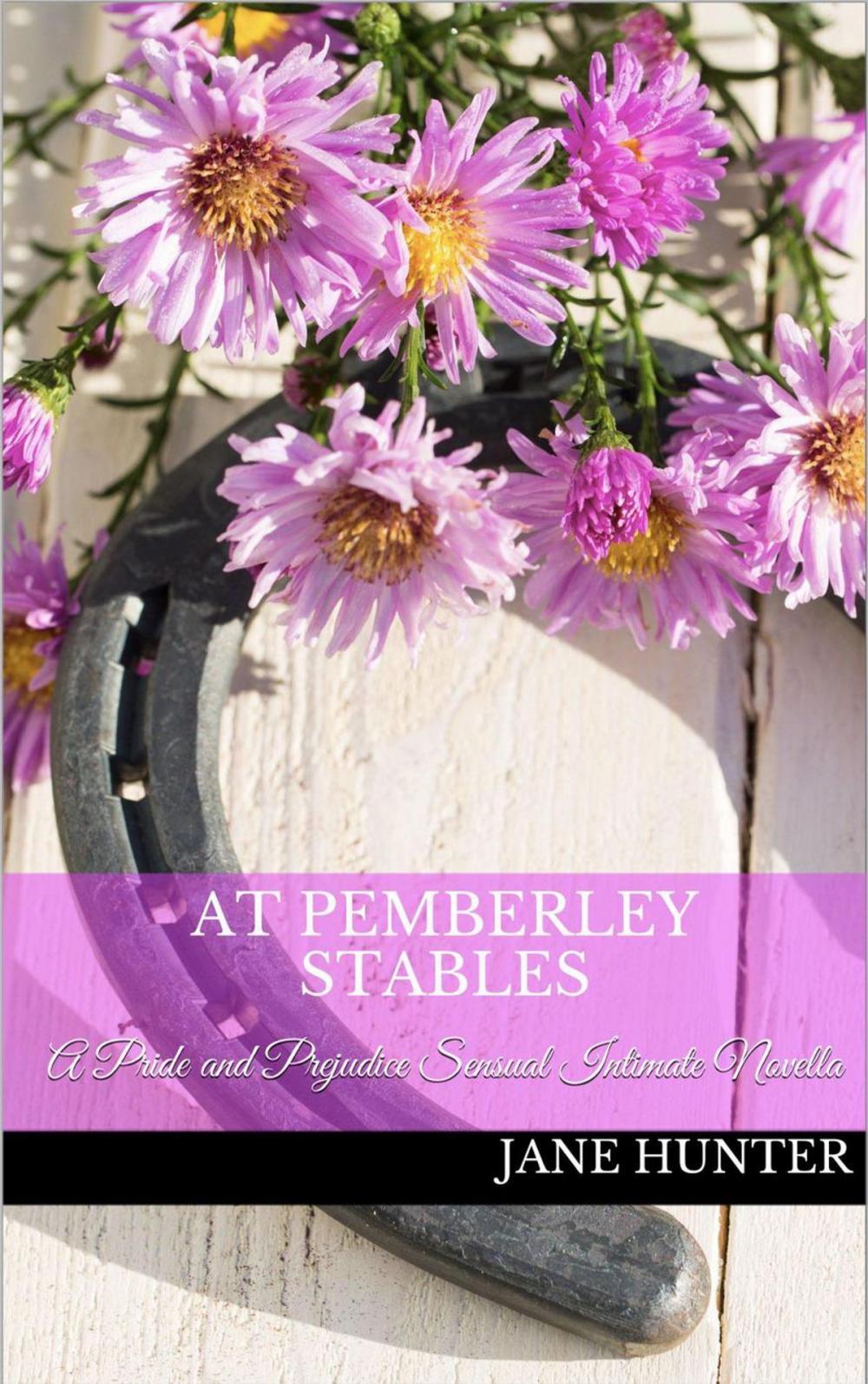 Big bigCover of At Pemberley Stables: A Pride and Prejudice Sensual Intimate