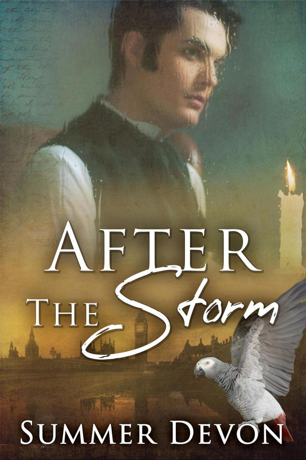 Big bigCover of After the Storm