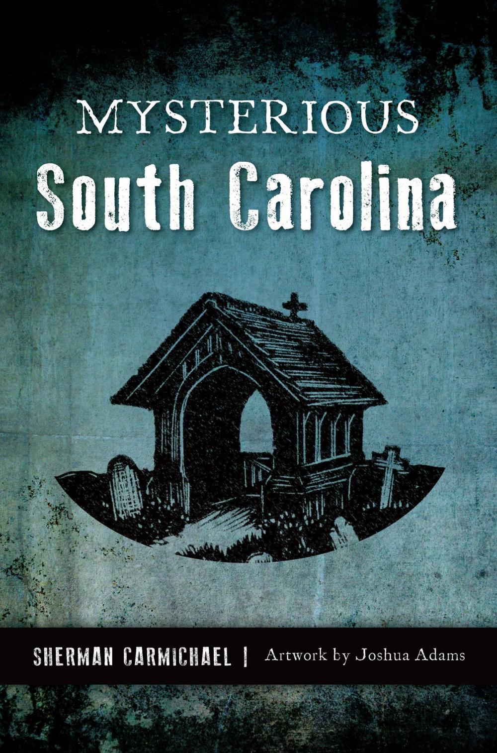 Big bigCover of Mysterious South Carolina