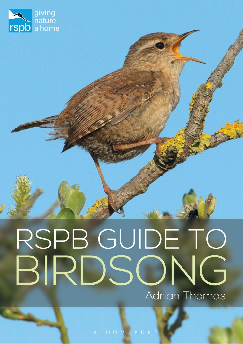 Big bigCover of RSPB Guide to Birdsong