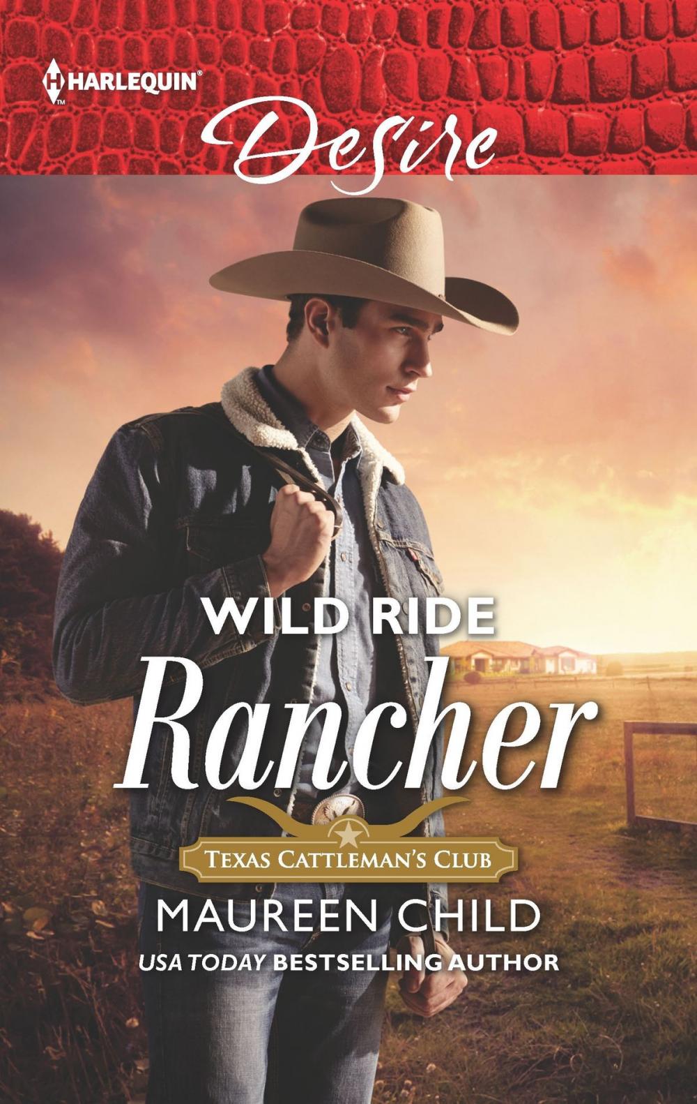 Big bigCover of Wild Ride Rancher