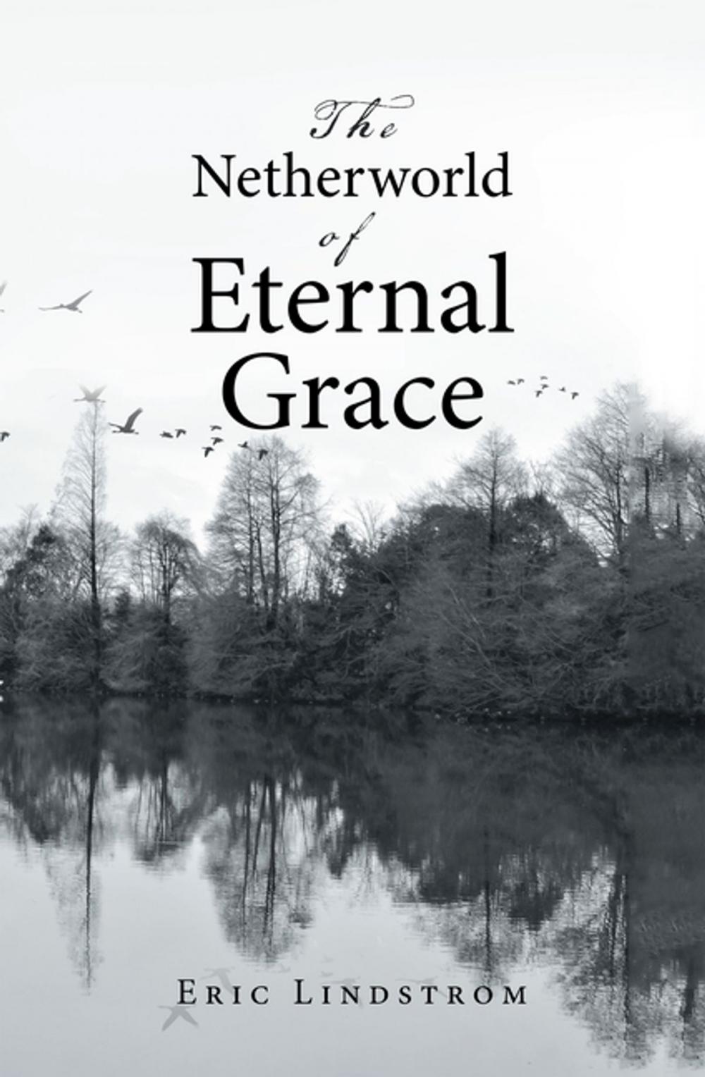 Big bigCover of The Netherworld of Eternal Grace