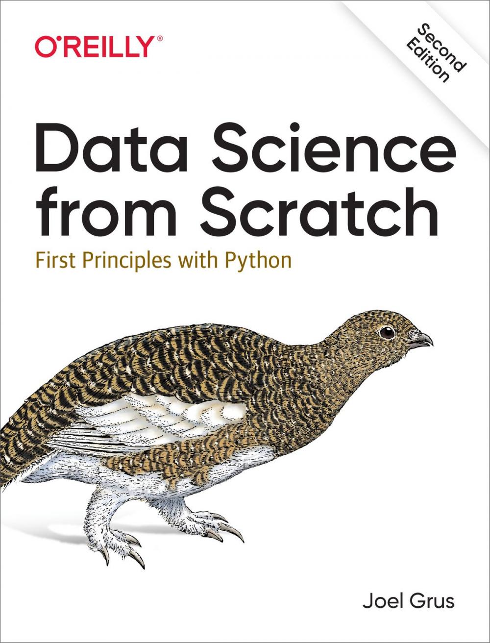 Big bigCover of Data Science from Scratch