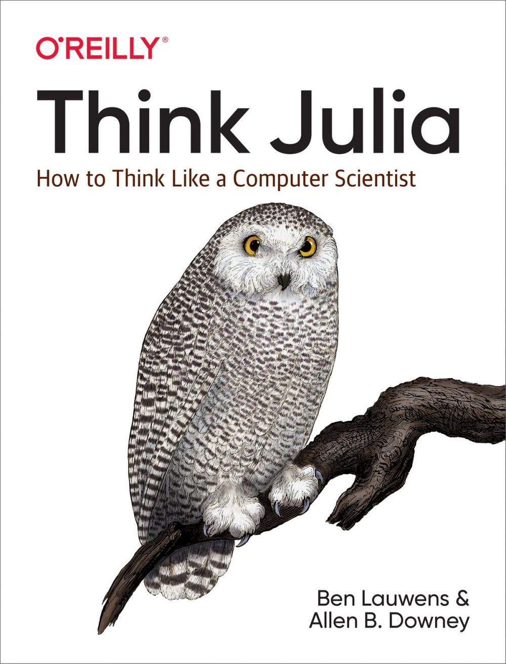 Big bigCover of Think Julia