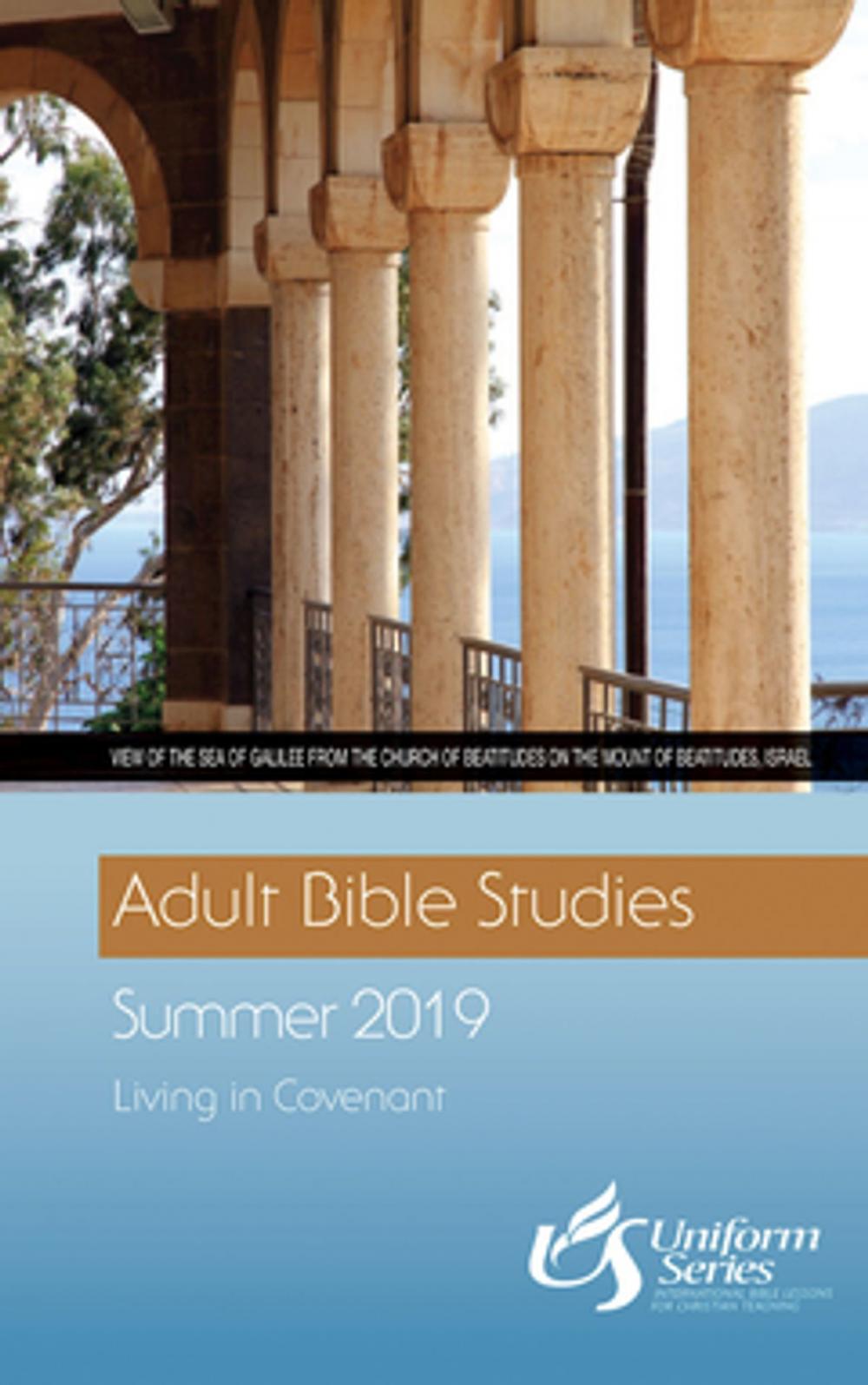 Big bigCover of Adult Bible Studies Summer 2019 Student [Large Print]