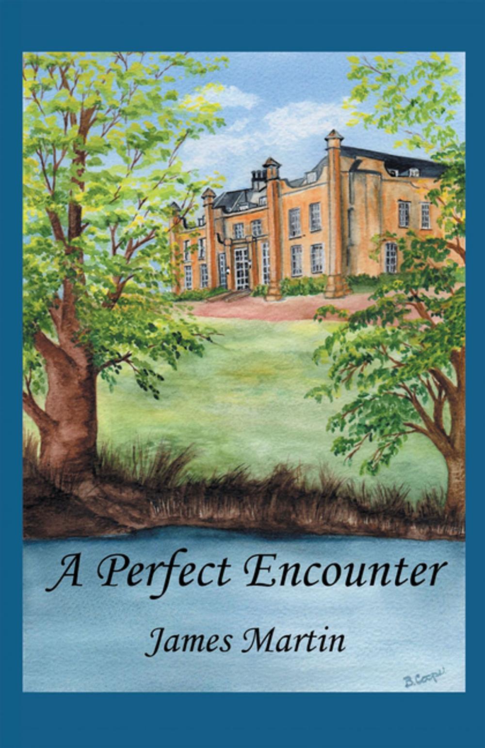 Big bigCover of A Perfect Encounter