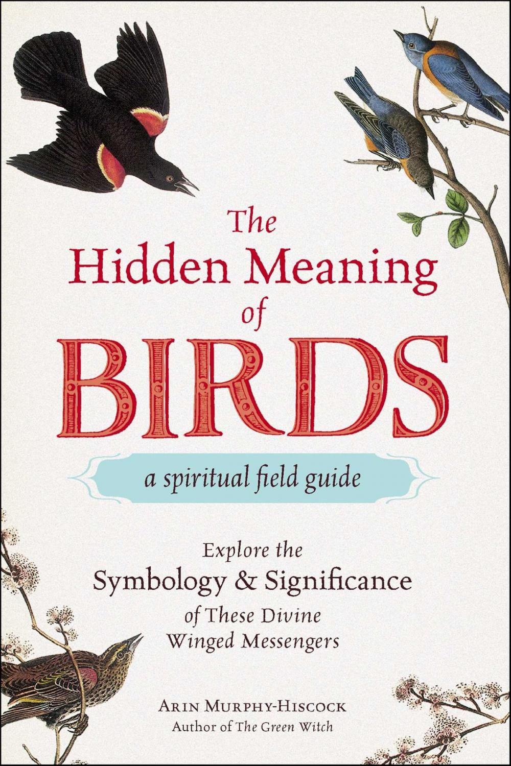 Big bigCover of The Hidden Meaning of Birds--A Spiritual Field Guide