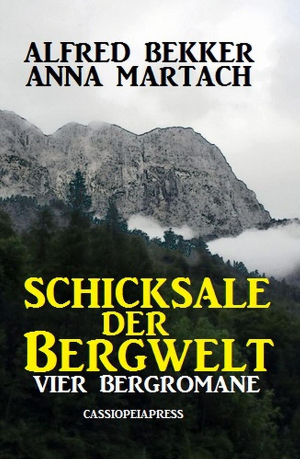 Big bigCover of Schicksale der Bergwelt: Vier Bergromane