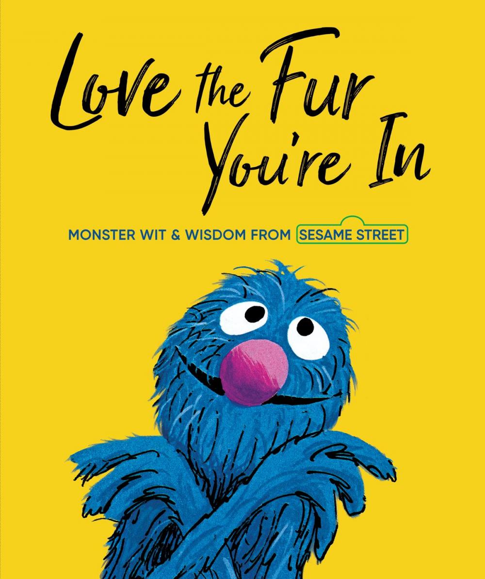 Big bigCover of Love the Fur You're In (Sesame Street)